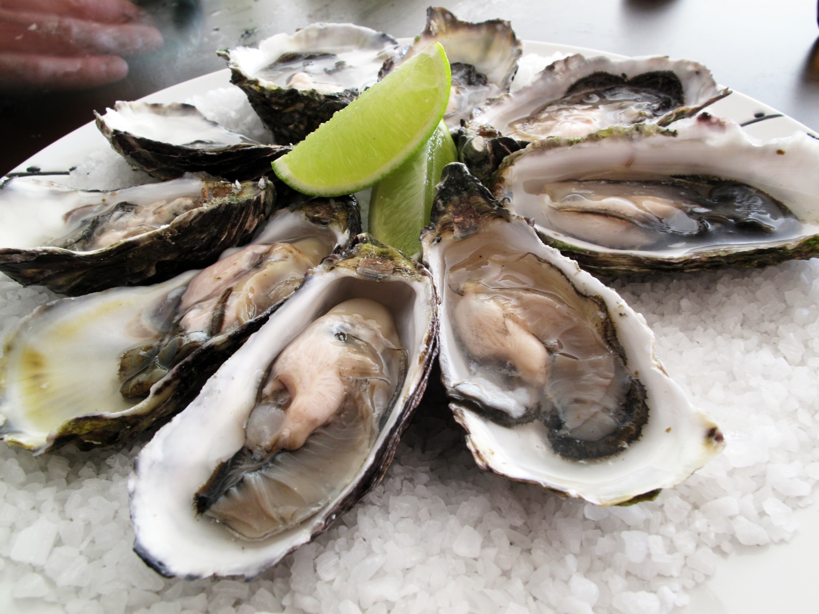 Oyster-Dish